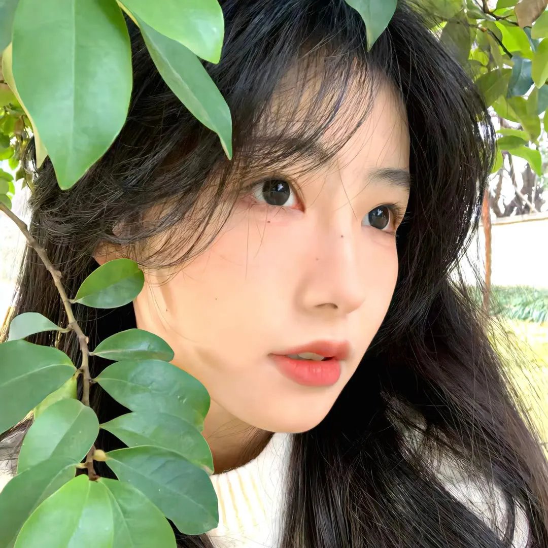 花豹少女队